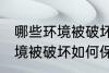 哪些环境被破坏怎样保护环境 哪些环境被破坏如何保护环境