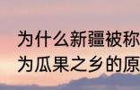 为什么新疆被称为瓜果之乡 新疆被称为瓜果之乡的原因