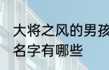 大将之风的男孩名字 大将之风的男孩名字有哪些