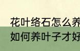 花叶络石怎么养叶子才好看 花叶络石如何养叶子才好看