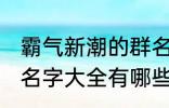 霸气新潮的群名字大全 霸气新潮的群名字大全有哪些