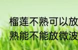 榴莲不熟可以放微波炉加热吗 榴莲不熟能不能放微波炉加热