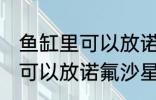 鱼缸里可以放诺氟沙星吗 鱼缸里可不可以放诺氟沙星