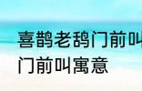 喜鹊老鸹门前叫有什么兆头 喜鹊老鸹门前叫寓意