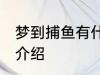 梦到捕鱼有什么兆头 梦见捕鱼的寓意介绍