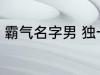 霸气名字男 独一无二的霸气名字男孩