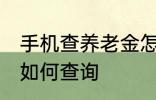 手机查养老金怎么查询 手机查养老金如何查询