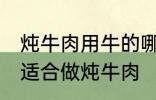 炖牛肉用牛的哪个部分 哪个位置的肉适合做炖牛肉