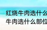 红烧牛肉选什么部位的牛肉 制作红烧牛肉选什么部位的牛肉