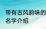 带有古风韵味的名字 带有古风韵味的名字介绍