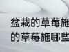 盆栽的草莓施什么肥好不要化肥 盆栽的草莓施哪些肥好不要化肥