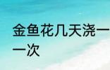 金鱼花几天浇一次水 金鱼花多久浇水一次