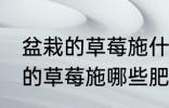 盆栽的草莓施什么肥好不要化肥 盆栽的草莓施哪些肥好不要化肥