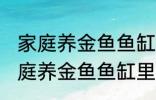 家庭养金鱼鱼缸里放什么水草好呢 家庭养金鱼鱼缸里放哪种水草好呢