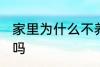 家里为什么不养扶桑 家里可以养扶桑吗