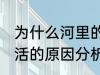 为什么河里的鱼养不活 河里的鱼养不活的原因分析