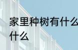 家里种树有什么讲究 家宅种树要注意什么