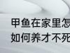 甲鱼在家里怎么养才不死 甲鱼在家里如何养才不死