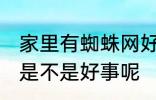 家里有蜘蛛网好事坏事 家里有蜘蛛网是不是好事呢