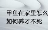 甲鱼在家里怎么养才不死 甲鱼在家里如何养才不死