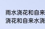 雨水浇花和自来水浇花有区别吗 雨水浇花和自来水浇花有什么区别