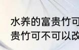 水养的富贵竹可以改土养吗 水养的富贵竹可不可以改土养