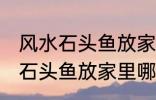 风水石头鱼放家里什么地方合适 风水石头鱼放家里哪个地方合适